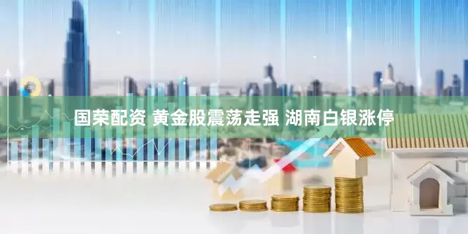 国荣配资 黄金股震荡走强 湖南白银涨停