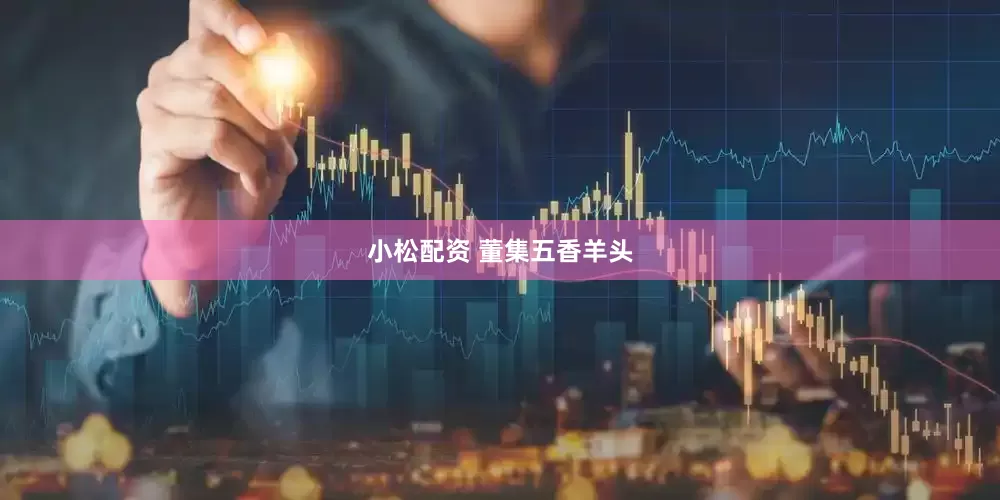 小松配资 董集五香羊头